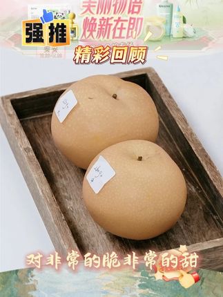 正宗烟台莱阳秋月梨新鲜冰糖梨当季水果秋月梨现摘皮薄 #梨子 #秋月梨 #好物推荐 #新鲜 #水果