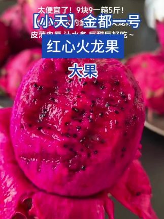 #红心火龙果 破价了!特别好吃!#火龙果 #好物推荐🔥