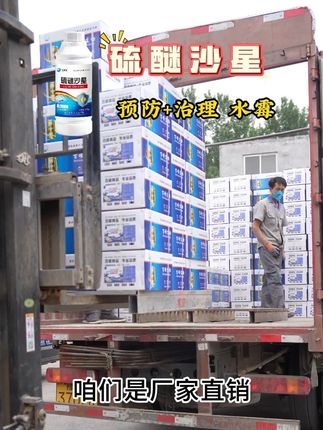 拉网卖鱼,转塘放苗,虫咬红点以后,及时泼洒硫醚沙星预防水霉! #硫醚沙星 #水霉 #水霉病 #水霉克星 #水霉来了怎么解决