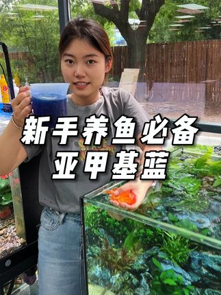亚甲基兰养鱼好帮手#养鱼日记 #新手养鱼