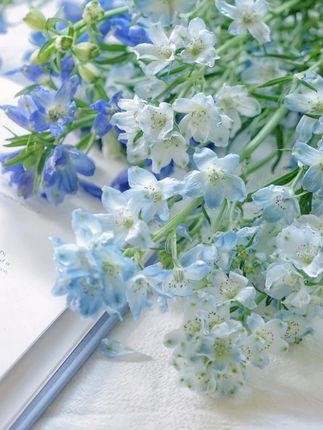 #穿搭#显瘦穿搭#小个子穿搭#夏季穿搭#裤子