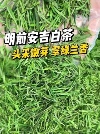 #安吉白茶 #茶香四溢 #爱喝茶的关注我 #茶叶 #绿茶