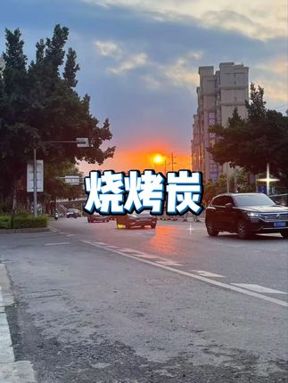 速燃果木炭(室内无烟烧烤碳) #烧烤炭 #速燃碳 #无烟木炭
