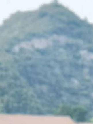一件6瓶装,三位数带回家、好喝不上头入口不烧心 #酱香型白酒#口粮酒#茅台镇酱香酒#53度酱香型白酒#纯粮食酒