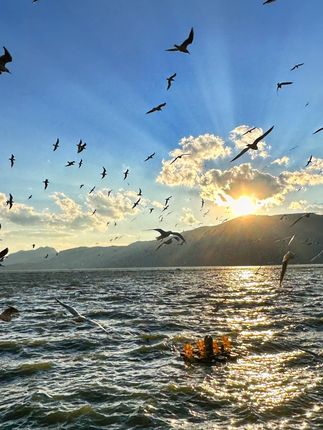 振兵激光测距仪手持红外线测量尺电子尺三合一高精度量房激光尺#种草好物 #测距仪 #实用工具 #工具 #激光尺