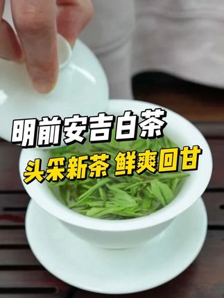喜欢喝绿茶的茶友,可以试试这款安吉白茶,茶汤清澈透亮,滋味鲜爽!#安吉白茶 #绿茶 #新茶上市