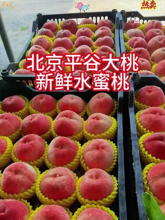 北京平谷大桃新鲜水蜜桃当季水果 北京平谷大桃新鲜水蜜桃当季水果久保桃子9号毛桃礼盒脆甜软硬14#北京平谷大桃 #水蜜桃 #好物推荐🔥
