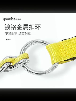 金熊猫咬不断耐咬P链P项圈中大型犬遛狗牵引绳P绳赛级防咬断#金熊猫P链 #中大型犬牵引绳 #耐咬P绳 #遛狗工具 #赛级用品