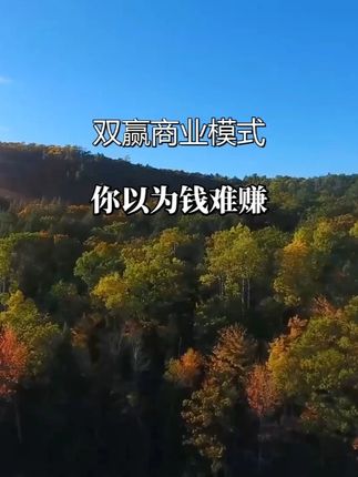 福建资本玩家的“空手套白狼”:用八家公司玩转银行,财富翻倍全靠套路!#资本运作 #资本运作大揭秘 #商业思维 #商业思维 #好书分享