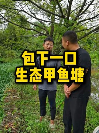 #农村生活#三农#甲鱼