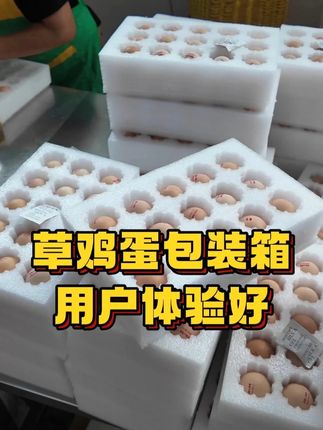 草鸡蛋包装箱,运输破损率直线下降 #鸡蛋包装 #鸡蛋包装盒快递专用 #鸡蛋运输 #珍珠棉鸡蛋托 #好物推荐