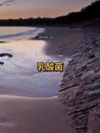 #洗护好物 #夏日饮品 #平价好物