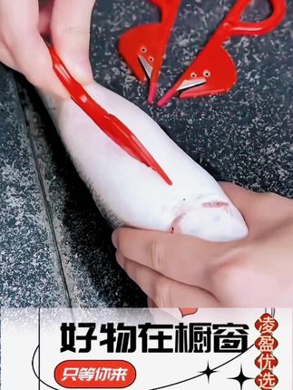 厨房通肠刀!鸡鸭鹅肠专用锋利开肠神器多功能小工具 #通肠专用刀  #厨房利器  #开肠工具  #锋利耐用  #多功能设计