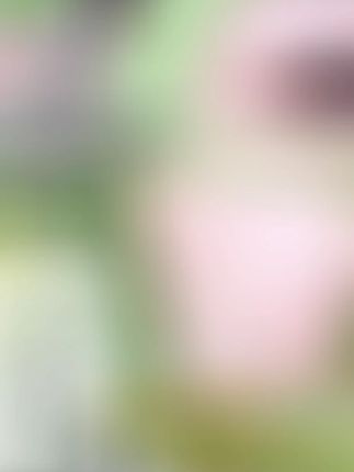 好物分享倾龄复合酸牛油果泡泡面膜温和清洁嫩肤毛孔泥膜涂抹面膜#倾龄复合酸面膜 #牛油果泡泡泥膜 #温和清洁毛孔 #嫩肤涂抹面膜 #好物分享面膜