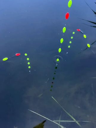 新款双钩免调漂七星漂线组高灵敏浮漂挂杆即钓全套垂钓草洞大板鲫 #免调漂 #七星漂线组 #线组 #线组推荐 #线组分享