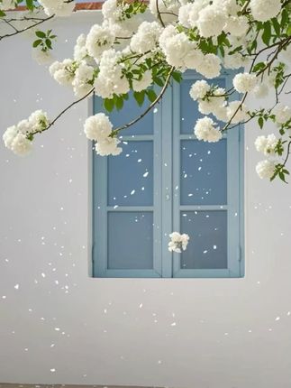 #杜克#杜克和一哥#交换世界计划#孟加拉的故事