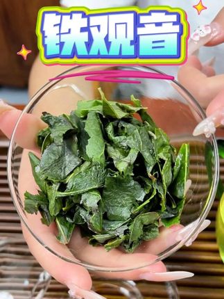 茶农直销铁观音,省去中间商,不为品牌溢价而买单 #飘香韵 #铁观音 #新茶