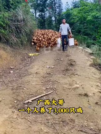 【5袋】装的兽用浓缩鱼肝油畜禽养殖维生素饲料添加剂猪牛羊鸡鸭 【5袋】装的兽用浓缩鱼肝油畜禽养殖维生素饲料添加剂猪牛羊鸡鸭用#散养土鸡 #抖音助农 #农村创业养殖 #养鸡 #原生态乡村生活