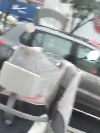 精品(老桩)清香木50厘米以上胡椒木盆栽好养室内花卉四季常青#胡椒木盆栽 #盆栽植物 #盆栽 #胡椒木 #四季常青胡椒木