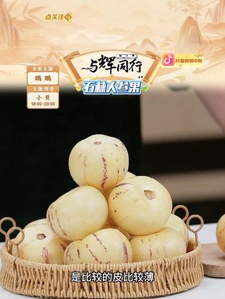 【9个+糖度】正宗云南石林人参果人生圆果黄肉 #云南石林人参果 #云南石林人参果香甜多汁 #石林人参果 #人参果 #好物推荐 @DOU+小助手 @DOU+上热门