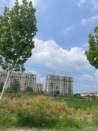 许家印进去以后,她竟火急火燎的结婚了#恒大歌舞团#许家印#传奇人物#古书古籍#科普认知