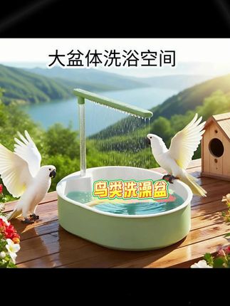 鹦鹉鸟类洗澡神器自动水循环外置洗澡盆虎皮牡丹玄凤专用淋浴 #洗澡盆 #洗澡盆推荐 #鸟类洗澡 #鸟类洗澡盆 #鸟类洗澡盒