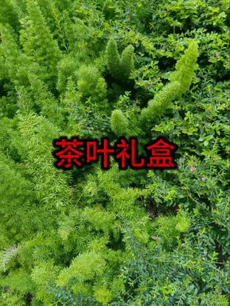 #茶叶礼盒 #茶叶 #好物推荐