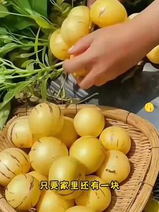 #人参果 清香清甜,口口爆汁,盆栽地栽阳台小院南北方均可种植#人参果种子