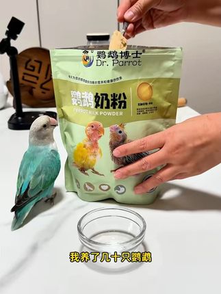 鹦鹉博士奶粉玄凤牡丹鸟营养乳粉虎皮幼鸟食物手养雏鸟增肥鸟粮食#鹦鹉博士奶粉 #幼鸟食物 #鸟用营养乳粉 #手养雏鸟 #幼鸟增肥