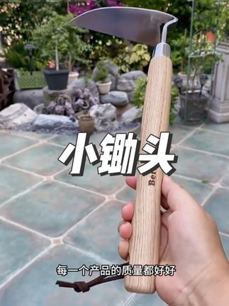 一把除草、松土两用的小锄头-不锈钢手刮锄,推荐给大家!#园艺工具 #berrybird园艺 #手刮锄 #爱花爱生活 #小锄头