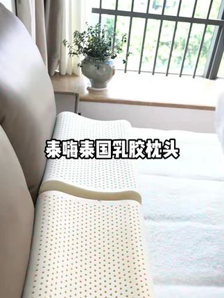 TAIHI/泰嗨泰国乳胶枕头正品100%天然乳胶枕芯一对装 #好物推荐🔥 #枕头 #提高睡眠质量 #好睡眠 #床上好物推荐