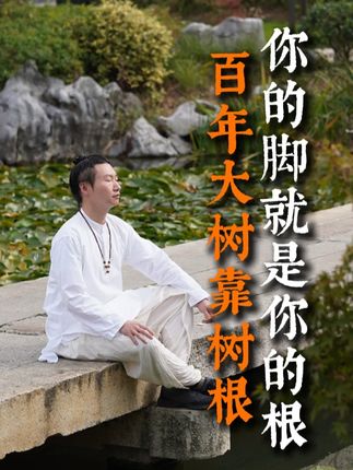 百年大树靠树根 你的脚就是你的根 #生活 #传统文化