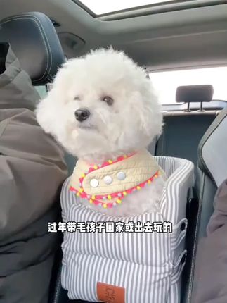 中控车载宠物窝 可拆洗 小型犬窝车载狗窝猫窝狗狗车载狗窝 #四季通用狗窝推荐 #车载狗狗座椅 #车载狗窝 #车载狗窝推荐 #车载狗窝