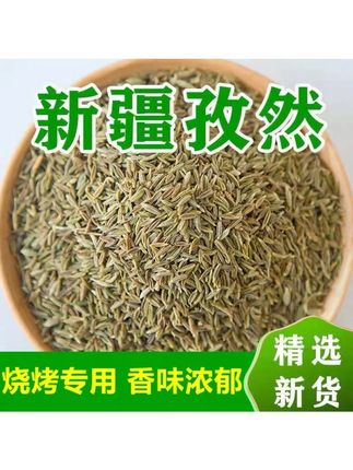 新疆孜然粒500g-50g纯正孜然颗粒可磨粉家用商用羊肉烧烤调料香料#新疆孜然粒5 ##孜然粉 #烧烤料 #撒料