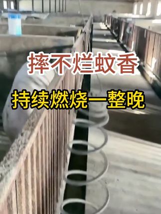 蚊蝇蛾通用的纤维蚊香 #蚊蝇 #蚊蝇蛾通杀 #驱蚊 #养殖场专用 #猪价行情