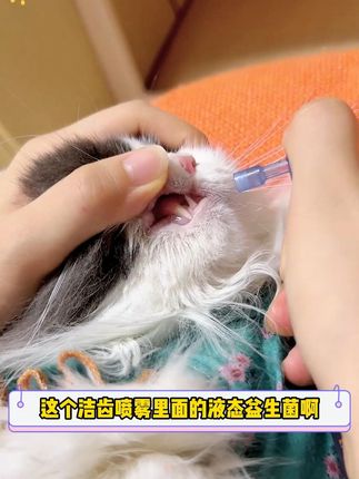 懒得给宠物刷牙?口喷来救场,清洁护齿一步到位。#萌宠好物 #科学养宠攻略 #养猫人 #萌宠出道计划