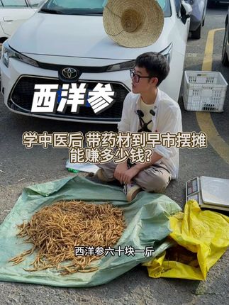 批发了50斤的西洋参,到广东早市摆摊卖,看看能赚多少钱? #我的摆摊日记 #摆摊 #西洋参