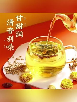 郝劭文推荐 【痰多咳嗽】北京同仁堂内廷上用胖大海罗汉果橘红茶非喉咙嗓子干痒 #红茶 #胖大海 #罗汉果橘红茶 #花果茶 #茶包