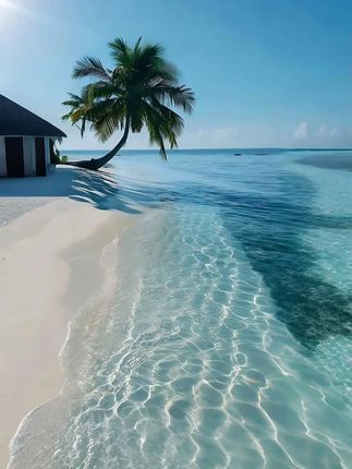 #杜克和一哥  #杜克环游世界  #孟加拉的故事  #交换世界计划