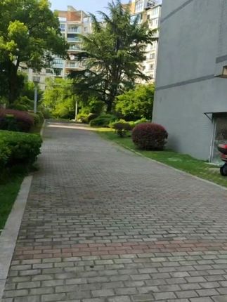 没有规矩,活该到处碰壁