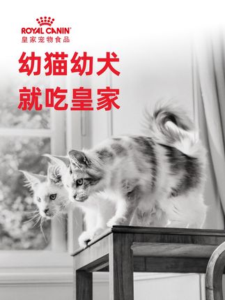 皇家官方旗舰店