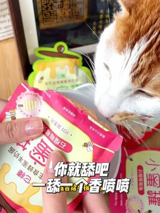 小猫咪你就舔吧,一舔一个香喷喷 #喂猫日记 #湿粮 #猫咪零食 #吃货猫 #猫饭