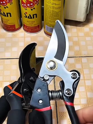 修剪树枝剪刀sk5修剪枝果树剪子专用花艺修枝园林摘水果锋利 #sk5修剪枝果树剪子 #园林 #修剪树枝剪刀