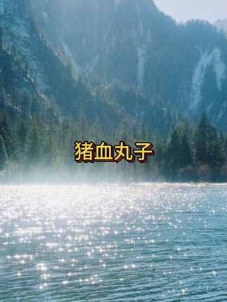 地道农家手工,一口咬下全是家乡味! 连盘子都要嗦干净! #猪血丸子 #抖音美好丰收节 #男士神仙单品 #在抖音入手的好东西 #无限回购的宝藏单品