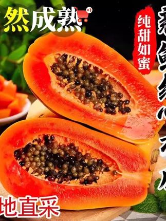 快抢这个红心牛奶木瓜,软糯香甜,超级好吃! #牛奶木瓜 #木瓜 #树熟木瓜 #现摘现发新鲜到家 #红心木瓜
