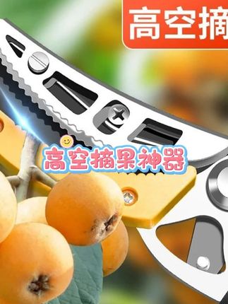 高空摘果神器伸缩摘果剪高枝摘枇杷龙眼荔枝樱桃锋利耐用#园林工具 #摘果剪 #园林工具 #新鲜采摘 #好物推荐 #摘果