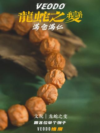 龙蛇之变适合的才是最好的 #veodo#猴头手串#文玩手串#猴头核桃手串#手串