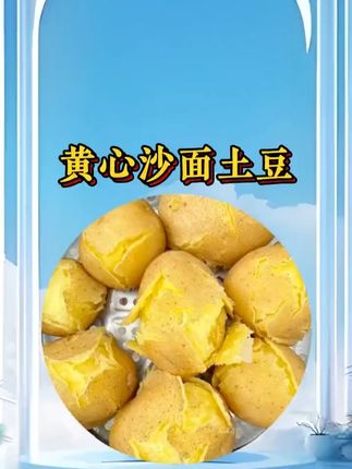 甘肃定西粗麻皮黄心土豆真的巨粉巨好吃,可以加工成各种各样的美食#甘肃定西土豆 #定西土豆 #黄心土豆 #沙面土豆 #洋芋