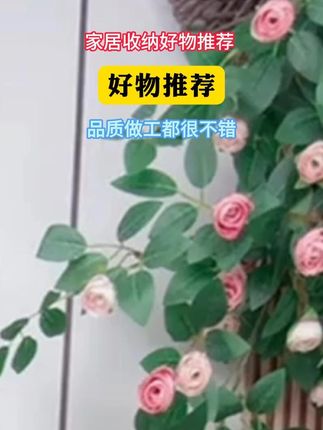 家里有一套这个工具箱能让你省不少人工费 最重要的它还便宜,不到一顿饭钱#便宜好物 #电钻