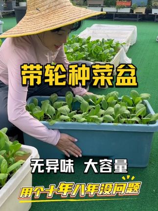 40L带滑轮种菜盆!移动不费劲,食品级材质种菜更安心! #种菜盆花盆 #超大号种植箱 #带轮 #欧林泽种菜盆